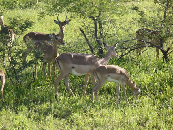 fichier 20080105_140000_0378-0.jpg