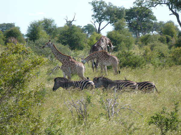 fichier 20080105_150000_0351-0.jpg