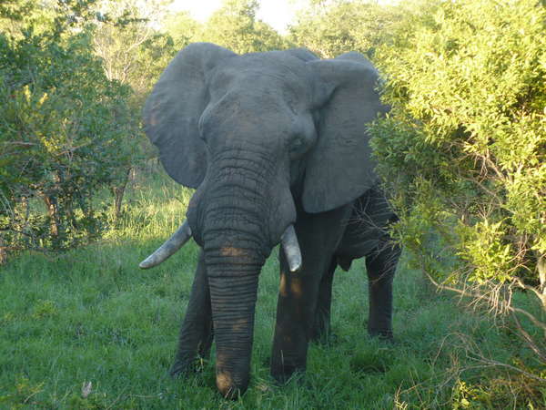 fichier 20080105_160000_0254-0.jpg