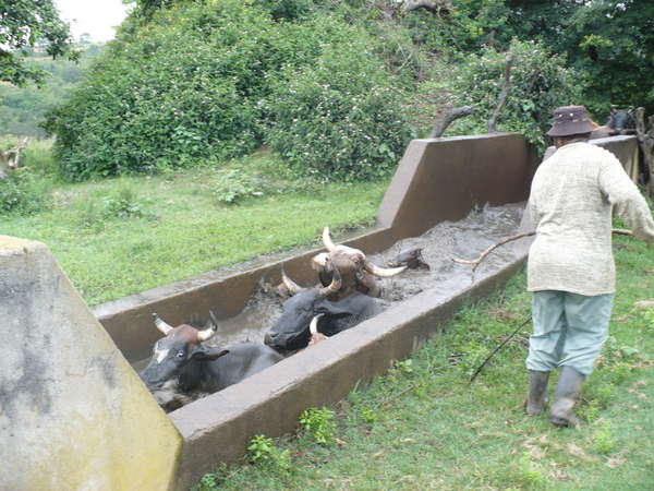 fichier 20080122_160000_0730-0.jpg