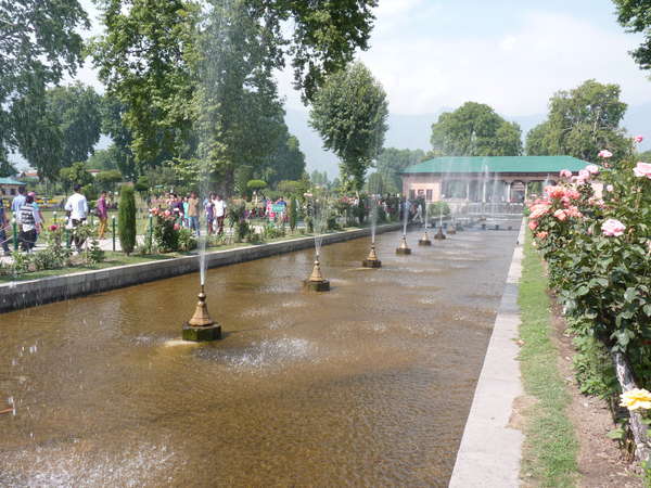 fichier P1040737-0.jpg