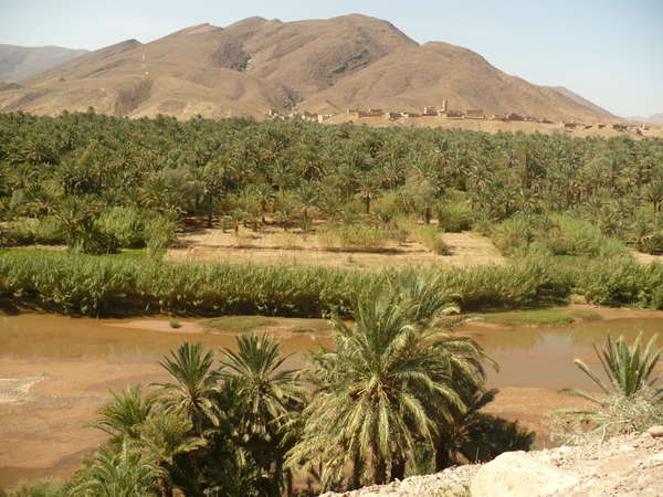 fichier 20091013_1230_001_img-P1020458-0.jpg