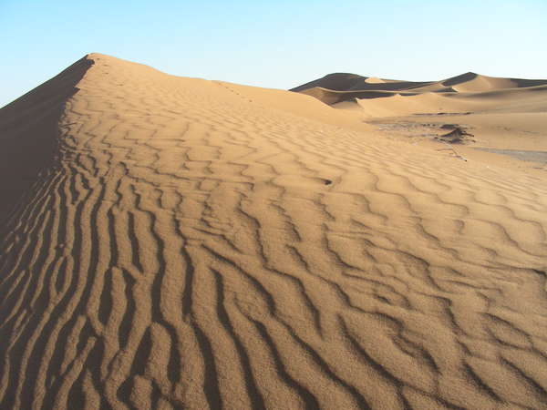 fichier 20091015_2141_001_img-DSCN1888-0.jpg